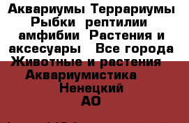 Аквариумы.Террариумы.Рыбки, рептилии, амфибии. Растения и аксесуары - Все города Животные и растения » Аквариумистика   . Ненецкий АО